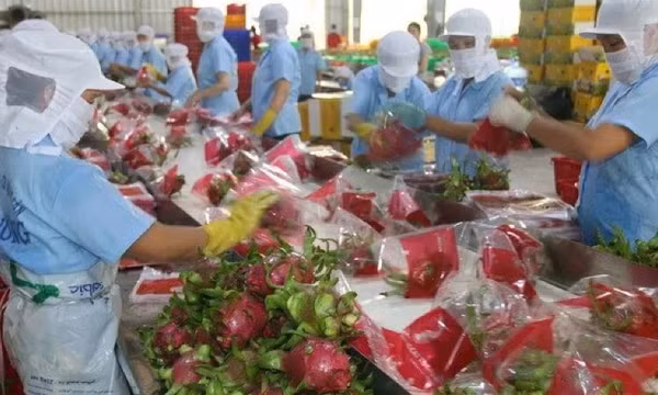 EU ban hành quy định mới về các biện pháp kiểm soát chất lượng nông sản nhập khẩu