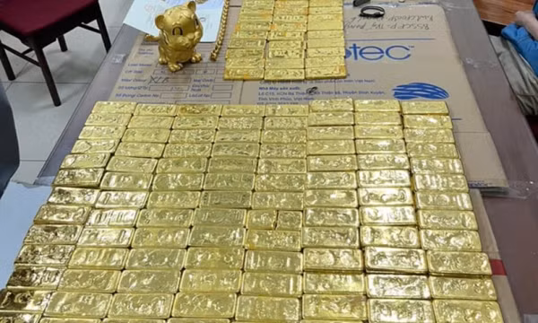 Thu thêm hơn 100 tỷ đồng trong vụ TikToker Mr Pips lừa đảo