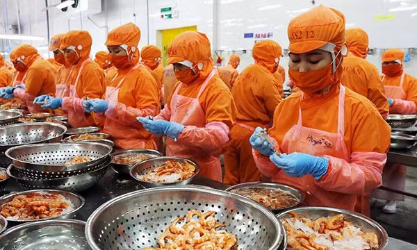 Số thu ngân sách nhà nước vượt gần 20% dự toán