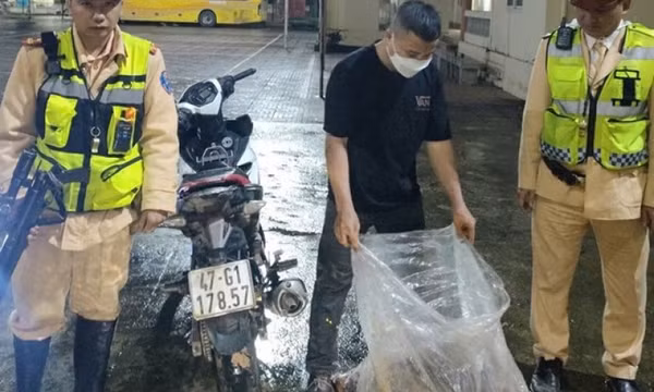 Bắt đối tượng mang súng, vận chuyển trái phép 3 cá thể khỉ