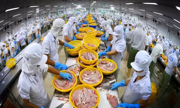 Triển vọng xuất khẩu thủy sản năm 2025 sẽ rất khả quan