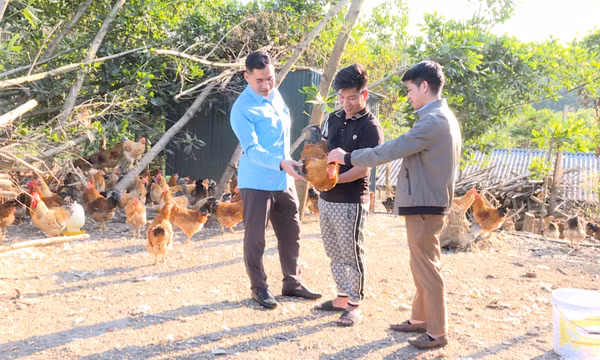 Tập trung sản xuất hàng hóa cuối năm