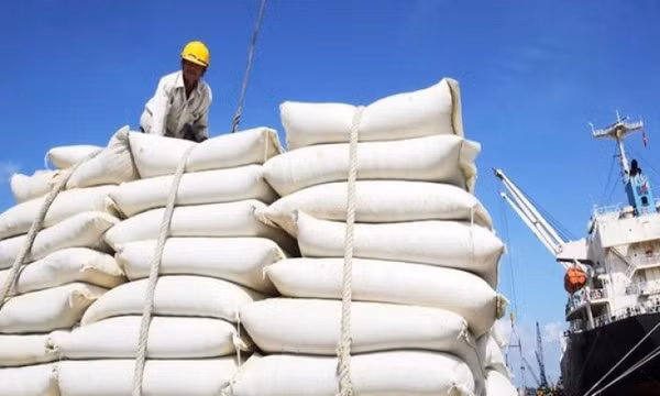 Dự báo thị trường gạo 2025 tiếp tục khởi sắc