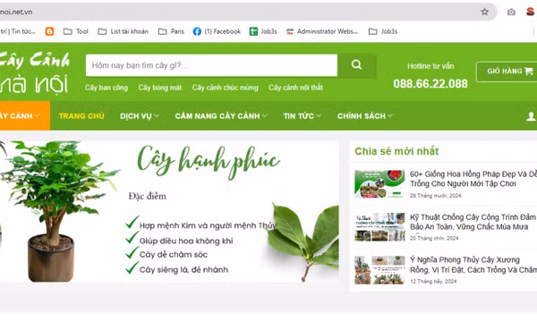Từ Caycanhhanoi.vn sang Caycanhhanoi.net.vn: Đổi tên miền mới cho website
