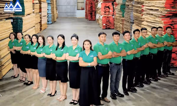 Mua gỗ xẻ ở đâu? Xem ngay địa chỉ mua gỗ xẻ chất lượng, uy tín