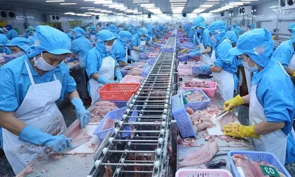 Ngân hàng Thế giới: Kinh tế toàn cầu ổn định, Việt Nam tăng trưởng vượt trội