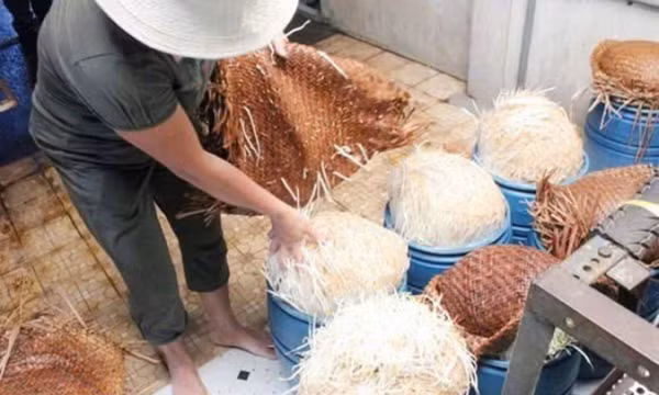 Bách Hóa Xanh thu hồi toàn bộ sản phẩm giá nhiễm hóa chất