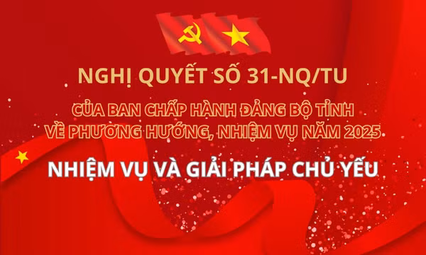 Nghị quyết của Ban Chấp hành Đảng bộ tỉnh về phương hướng, nhiệm vụ năm 2025: Nhiệm vụ và giải pháp chủ yếu