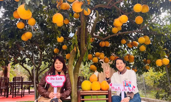 Bản tin Vùng Đông Bắc ngày 26/12/2024