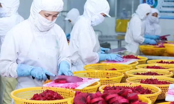 Rau quả tươi Việt Nam: Nhiều cơ hội xuất khẩu vào thị trường Thụy Điển