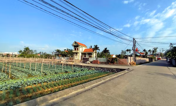 Khát vọng làm giàu của nông dân Tiền An 