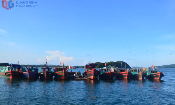 Vẻ đẹp hào sảng của người Vùng mỏ 
