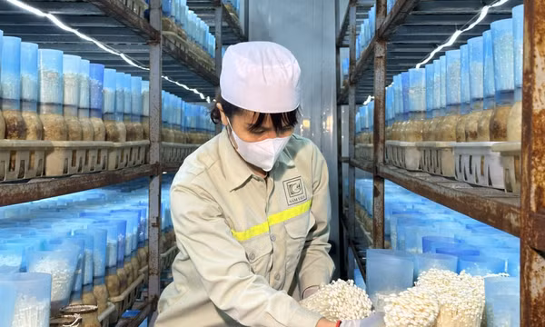Doanh nghiệp tăng cường sản xuất hàng hóa phục vụ Tết