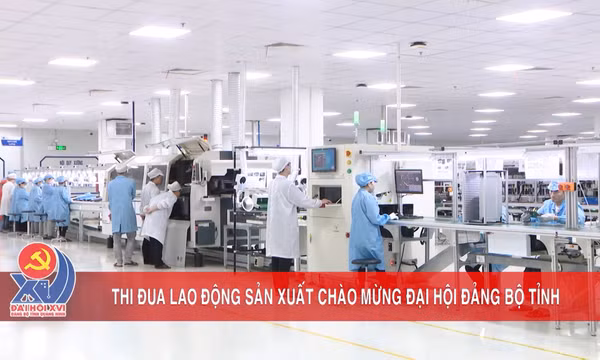 Thi đua lao động sản xuất chào mừng Đại hội Đảng bộ tỉnh