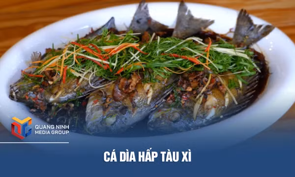 Cá dìa hấp tàu xì