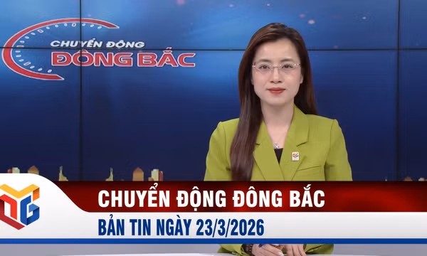 Chuyển động Đông Bắc ngày 23/3/2026