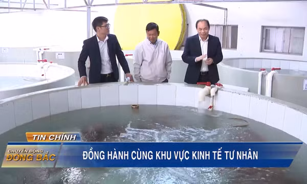 Đồng hành cùng khu vực kinh tế tư nhân