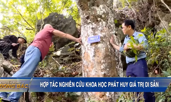 Hợp tác nghiên cứu khoa học phát huy giá trị di sản