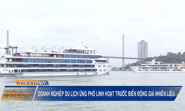 Doanh nghiệp du lịch ứng phó linh hoạt trước biến động giá nhiên liệu