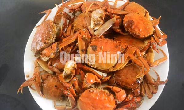 Cà ra Yên Đức