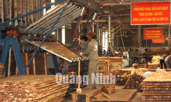 Công ty TNHH chế biến sản xuất gỗ Thanh Lâm (xã Đầm Hà)