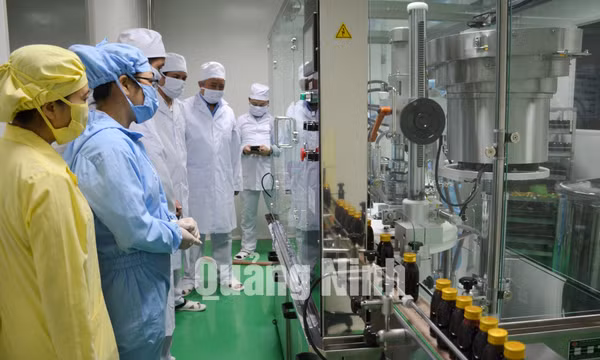 Công ty CP Dược - Vật tư y tế Quảng Ninh