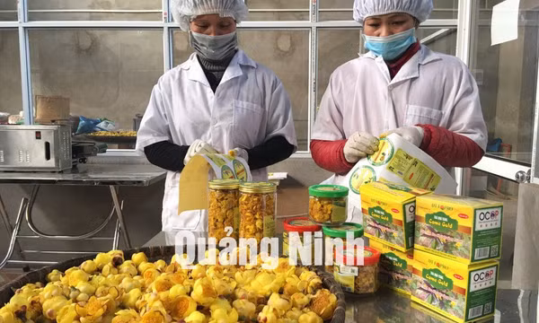 Trà hoa vàng (xã Ba Chẽ)