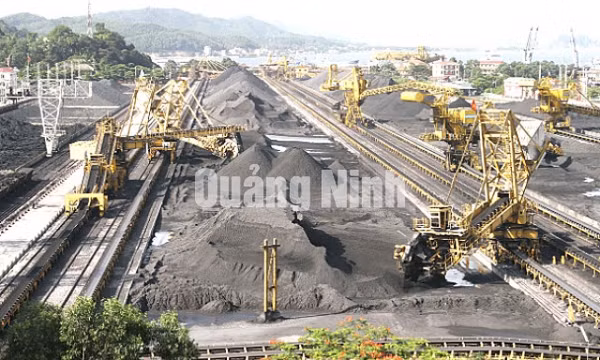 Công ty Tuyển than Cửa Ông