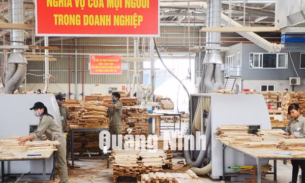 Nhà máy Chế biến gỗ Tân Bình (xã Đầm Hà)
