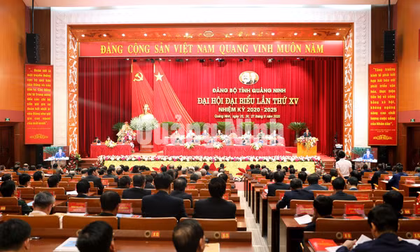 Đại hội Đại biểu Đảng bộ tỉnh lần thứ XV, nhiệm kỳ 2020- 2025, tháng 9-2020