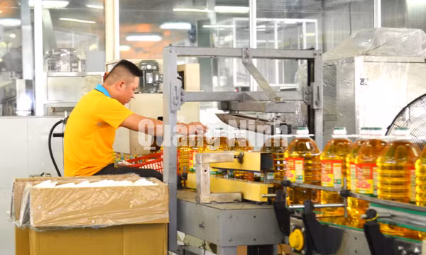 Khu công nghiệp Cái Lân