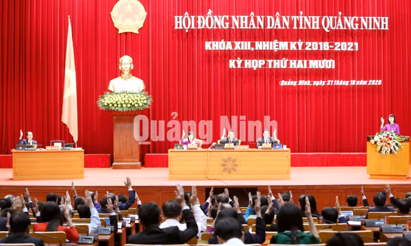 Kỳ họp thứ 20, HĐND tỉnh khóa XIII, tháng 11-2020