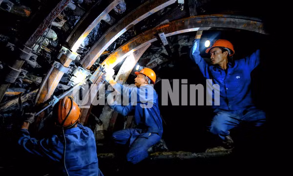 Công Ty TNHH Một Thành Viên Khe Sim