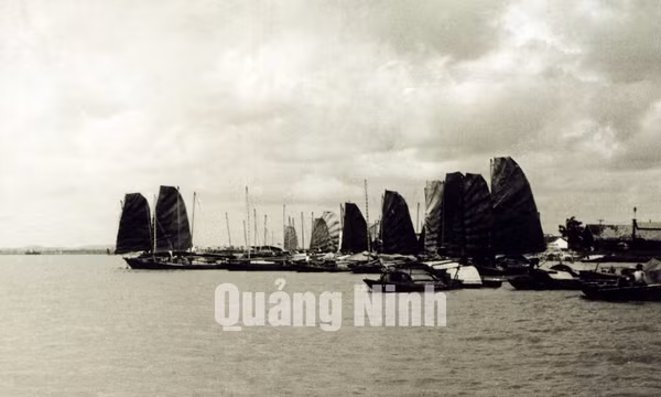 Ảnh tư liệu TX Quảng Yên