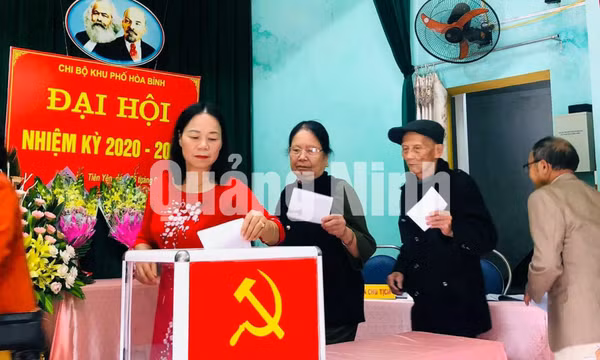 Đảng bộ cơ sở trên địa bàn tỉnh tổ chức Đại hội Chi bộ nhiệm kỳ 2020-2022, tháng 1-2020