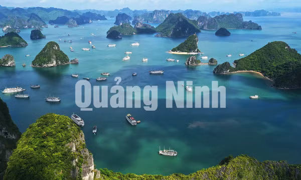 Vịnh Hạ Long