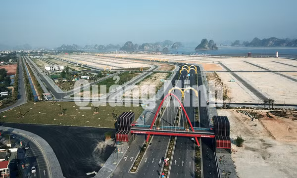 Dự án Phương Đông (Vân Đồn), tháng 3-2020