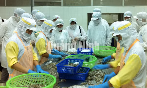 Công ty TNHH Sản xuất và Thương mại thuỷ sản Quảng Ninh