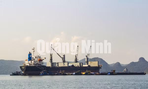 Những con tàu chờ than