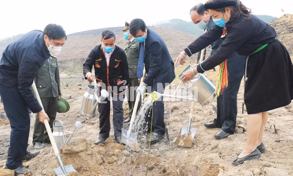 Chủ tịch UBND tỉnh Nguyễn Tường Văn phát động và tham gia trồng rừng, tháng 2-2021