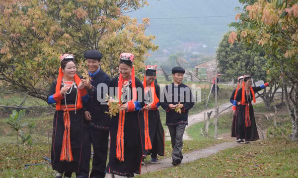 Hội làng Bằng Cả (xã Quảng La)
