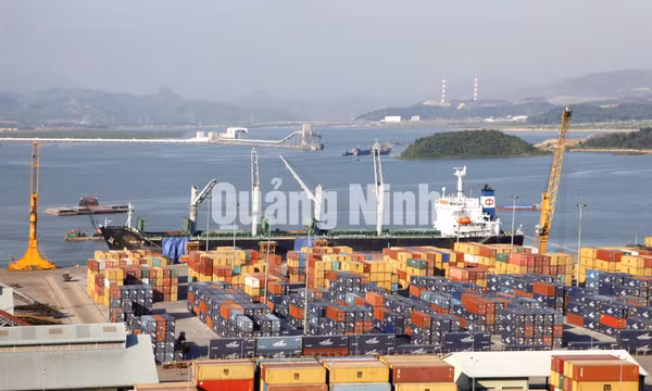 Cảng Quảng Ninh