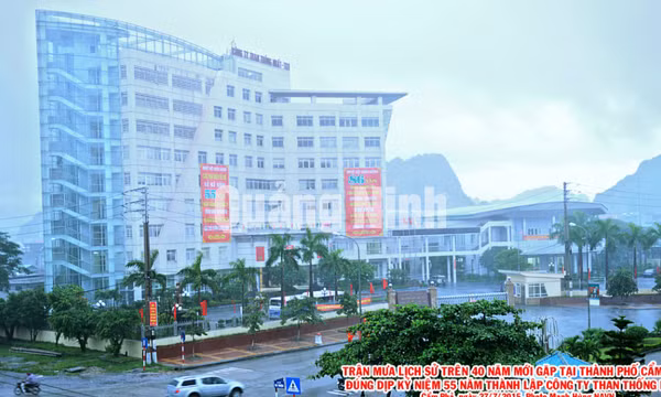 Công ty Than Thống Nhất