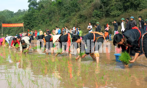 Lễ hội Lồng Tồng (huyện ba Chẽ)