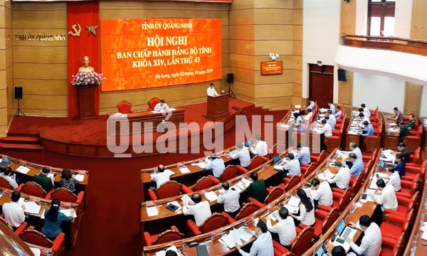 Kỳ họp thứ 43, BCH Đảng bộ tỉnh khoá XIV, tháng 10-2019