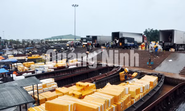 Các cảng xuất nhập khẩu hàng hoá tại TP Móng Cái