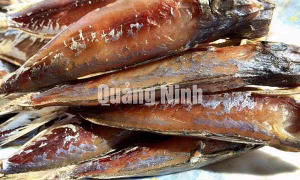 Cá nục một nắng