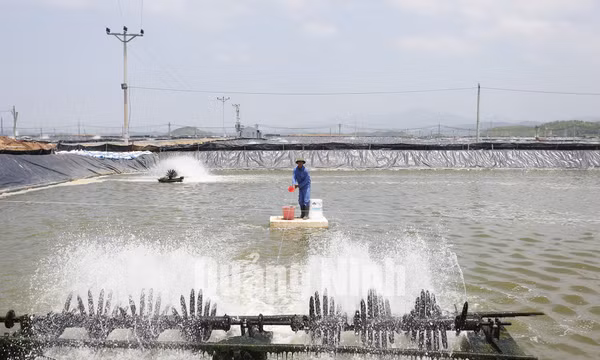 Nông thôn mới huyện Đầm Hà