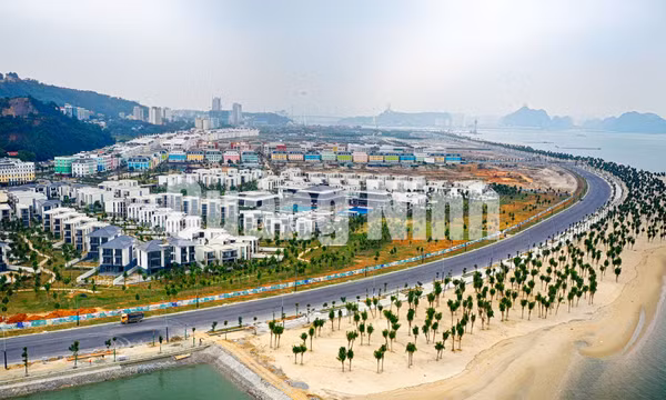 Dự án khu đô thị Bãi Cháy