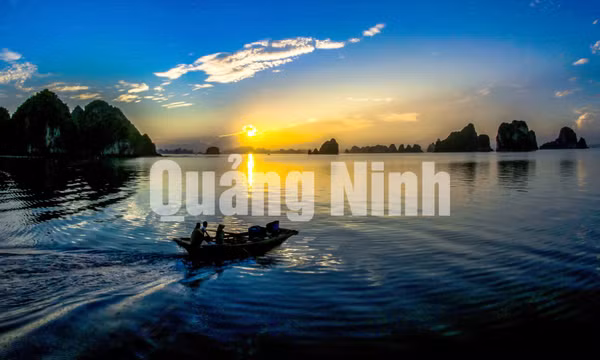 Vịnh Bái Tử Long